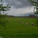 γιάννης *