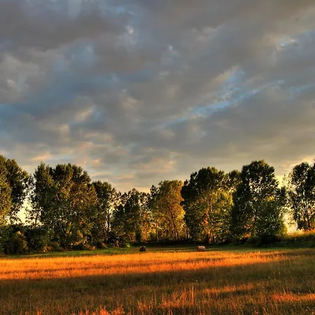 Hotel Yannis Krinídhes